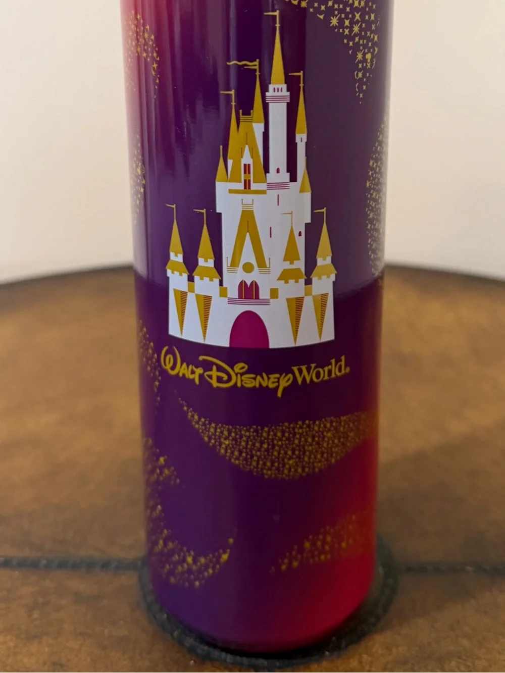 NEW STARBUCKS WALT DISNEY WORLD CINDERELLA CASTLE STAINLESS STEEL WATER BOTTLE